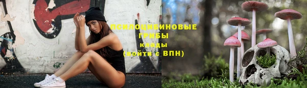 дмт Беломорск