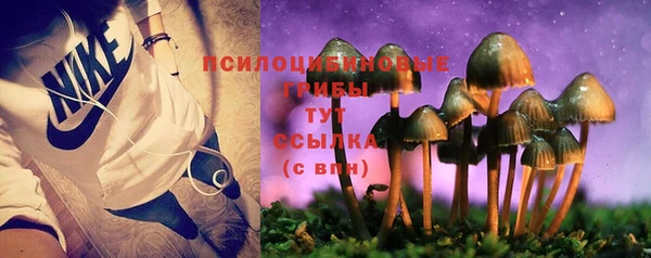 стаф Слюдянка