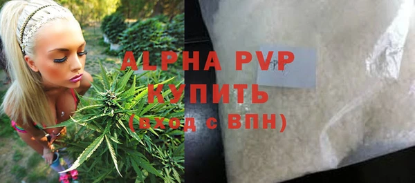 ГАЛЛЮЦИНОГЕННЫЕ ГРИБЫ Белоозёрский