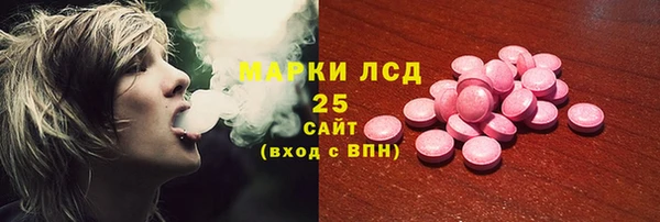 ГАЛЛЮЦИНОГЕННЫЕ ГРИБЫ Белоозёрский