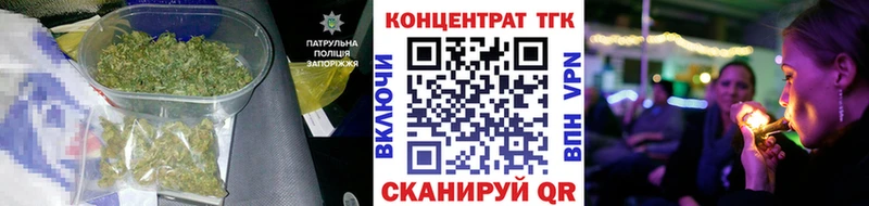 купить закладку  Светлогорск  нарко площадка клад  ТГК THC oil 