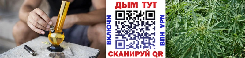 продажа наркотиков  Светлогорск  Каннабис OG Kush 